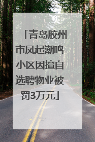 青岛胶州市凤起潮鸣小区因擅自选聘物业被罚3万元