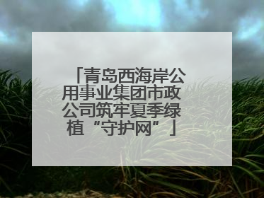 青岛西海岸公用事业集团市政公司筑牢夏季绿植“守护网”