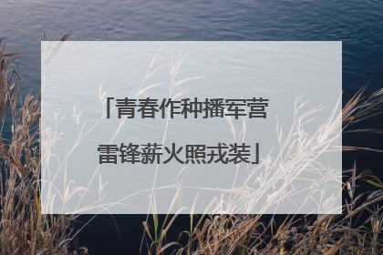 青春作种播军营 雷锋薪火照戎装