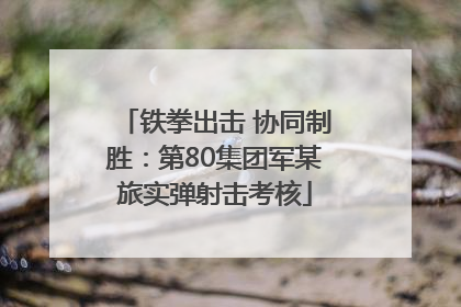 铁拳出击 协同制胜：第80集团军某旅实弹射击考核
