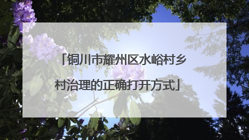 铜川市耀州区水峪村乡村治理的正确打开方式