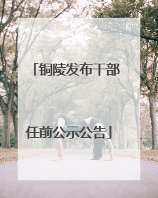 铜陵发布干部任前公示公告