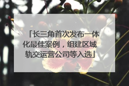 长三角首次发布一体化最佳案例，组建区域轨交运营公司等入选