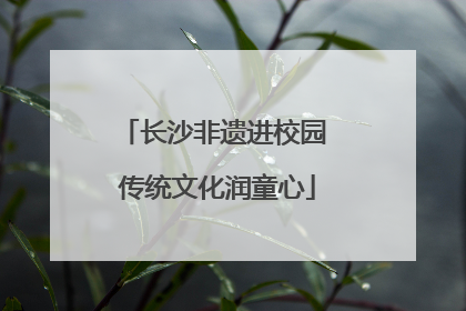 长沙非遗进校园 传统文化润童心