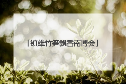 镇雄竹笋飘香南博会
