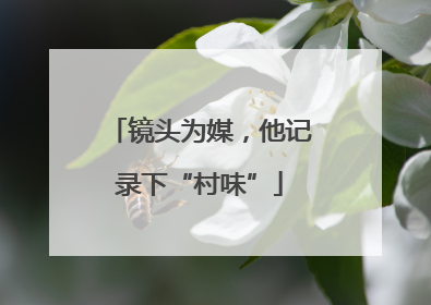 镜头为媒，他记录下“村味”