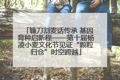 镰刀割麦话传承 基因育种启新程——第十届杨凌小麦文化节见证“颗粒归仓”时空跨越