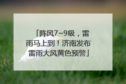阵风7~9级，雷雨马上到！济南发布雷雨大风黄色预警