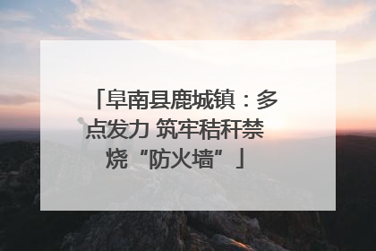阜南县鹿城镇：多点发力 筑牢秸秆禁烧“防火墙”
