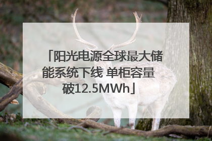 阳光电源全球最大储能系统下线 单柜容量破12.5MWh