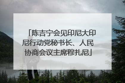 陈吉宁会见印尼大印尼行动党秘书长、人民协商会议主席穆扎尼