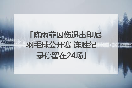 陈雨菲因伤退出印尼羽毛球公开赛 连胜纪录停留在24场