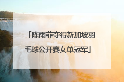 陈雨菲夺得新加坡羽毛球公开赛女单冠军