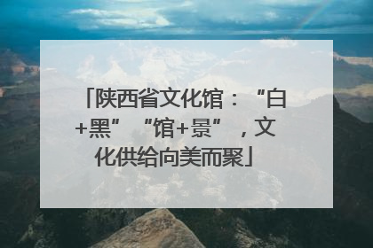 陕西省文化馆：“白+黑”“馆+景”，文化供给向美而聚