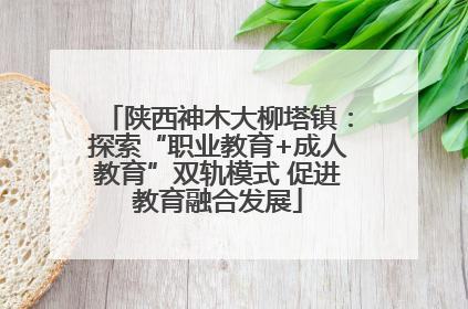 陕西神木大柳塔镇：探索“职业教育+成人教育”双轨模式 促进教育融合发展