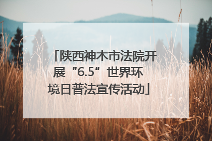 陕西神木市法院开展“6.5”世界环境日普法宣传活动