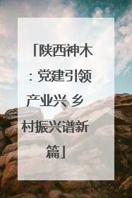 陕西神木：党建引领产业兴 乡村振兴谱新篇