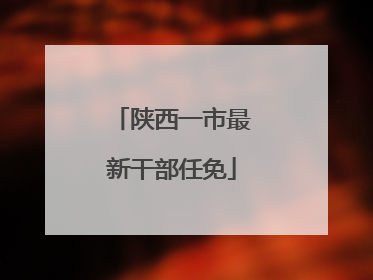 陕西一市最新干部任免