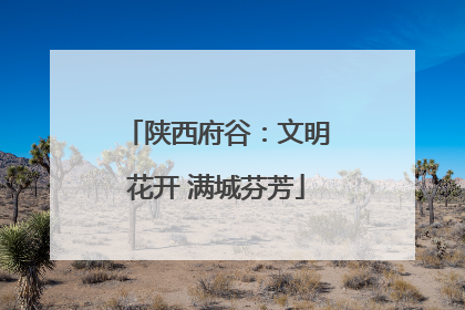 陕西府谷：文明花开 满城芬芳