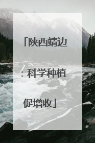 陕西靖边：科学种植促增收