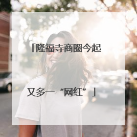 隆福寺商圈今起又多一“网红”