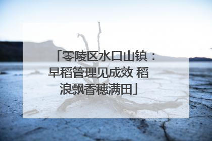 零陵区水口山镇：早稻管理见成效 稻浪飘香穗满田
