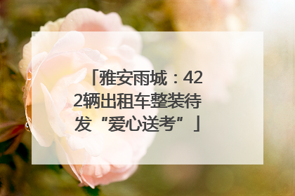雅安雨城：422辆出租车整装待发“爱心送考”