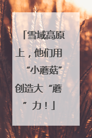 雪域高原上，他们用“小蘑菇”创造大“蘑”力！