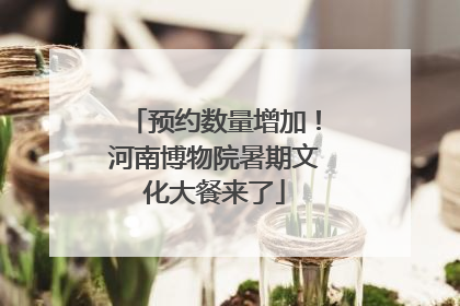 预约数量增加！河南博物院暑期文化大餐来了