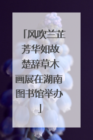 风吹兰芷 芳华如故 楚辞草木画展在湖南图书馆举办