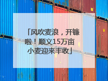 风吹麦浪，开镰啦！顺义15万亩小麦迎来丰收