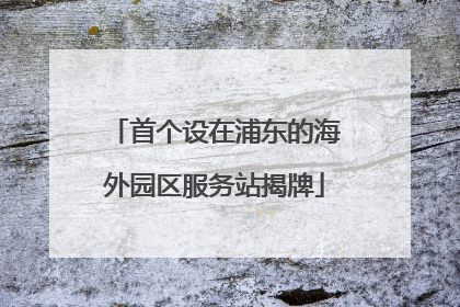 首个设在浦东的海外园区服务站揭牌