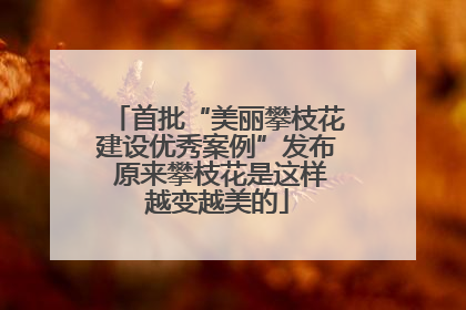 首批“美丽攀枝花建设优秀案例”发布 原来攀枝花是这样越变越美的