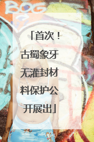 首次！古蜀象牙无灌封材料保护公开展出