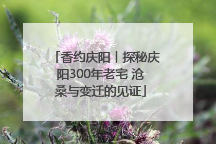 香约庆阳丨探秘庆阳300年老宅 沧桑与变迁的见证
