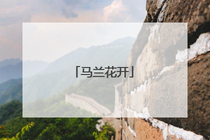 马兰花开