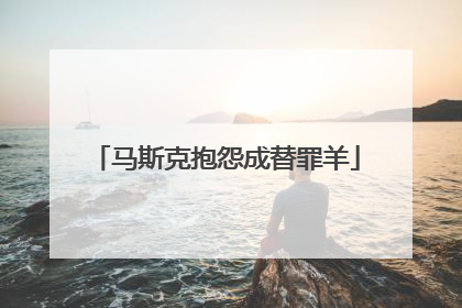 马斯克抱怨成替罪羊