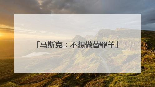 马斯克：不想做替罪羊