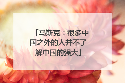 马斯克：很多中国之外的人并不了解中国的强大