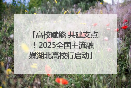高校赋能 共建支点！2025全国主流融媒湖北高校行启动