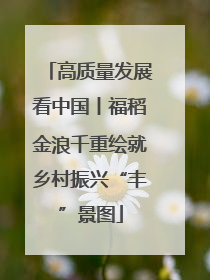 高质量发展看中国丨福稻金浪千重绘就乡村振兴“丰”景图