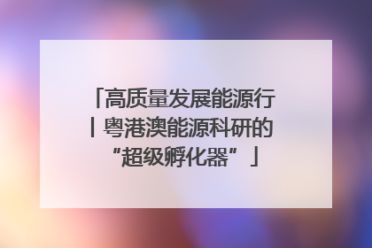 高质量发展能源行丨粤港澳能源科研的“超级孵化器”