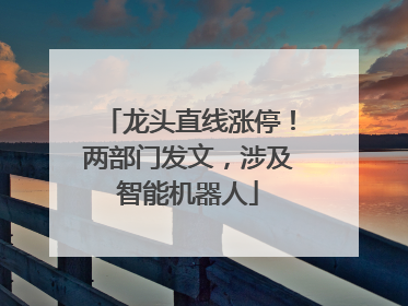 龙头直线涨停！两部门发文，涉及智能机器人