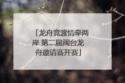 龙舟竞渡情牵两岸 第二届闽台龙舟邀请赛开赛
