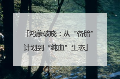 鸿蒙破晓：从“备胎”计划到“纯血”生态