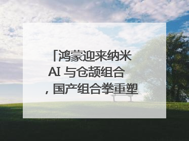 鸿蒙迎来纳米 AI 与仓颉组合，国产组合拳重塑AI搜索体验｜新经济观察