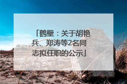 鹤壁：关于胡艳兵、郑涛等2名同志拟任职的公示