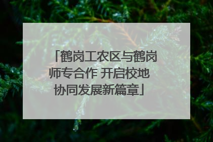 鹤岗工农区与鹤岗师专合作 开启校地协同发展新篇章