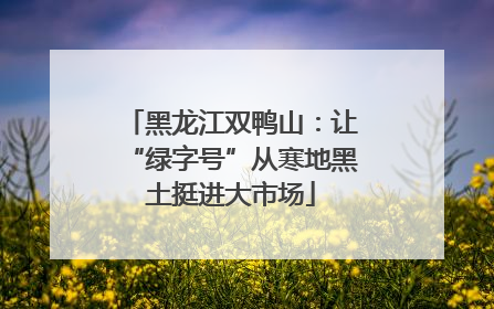 黑龙江双鸭山：让“绿字号”从寒地黑土挺进大市场