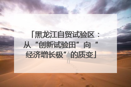 黑龙江自贸试验区：从“创新试验田”向“经济增长极”的质变